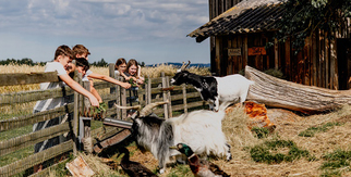 ©Waldviertel Tourismus, Matthias Streibel